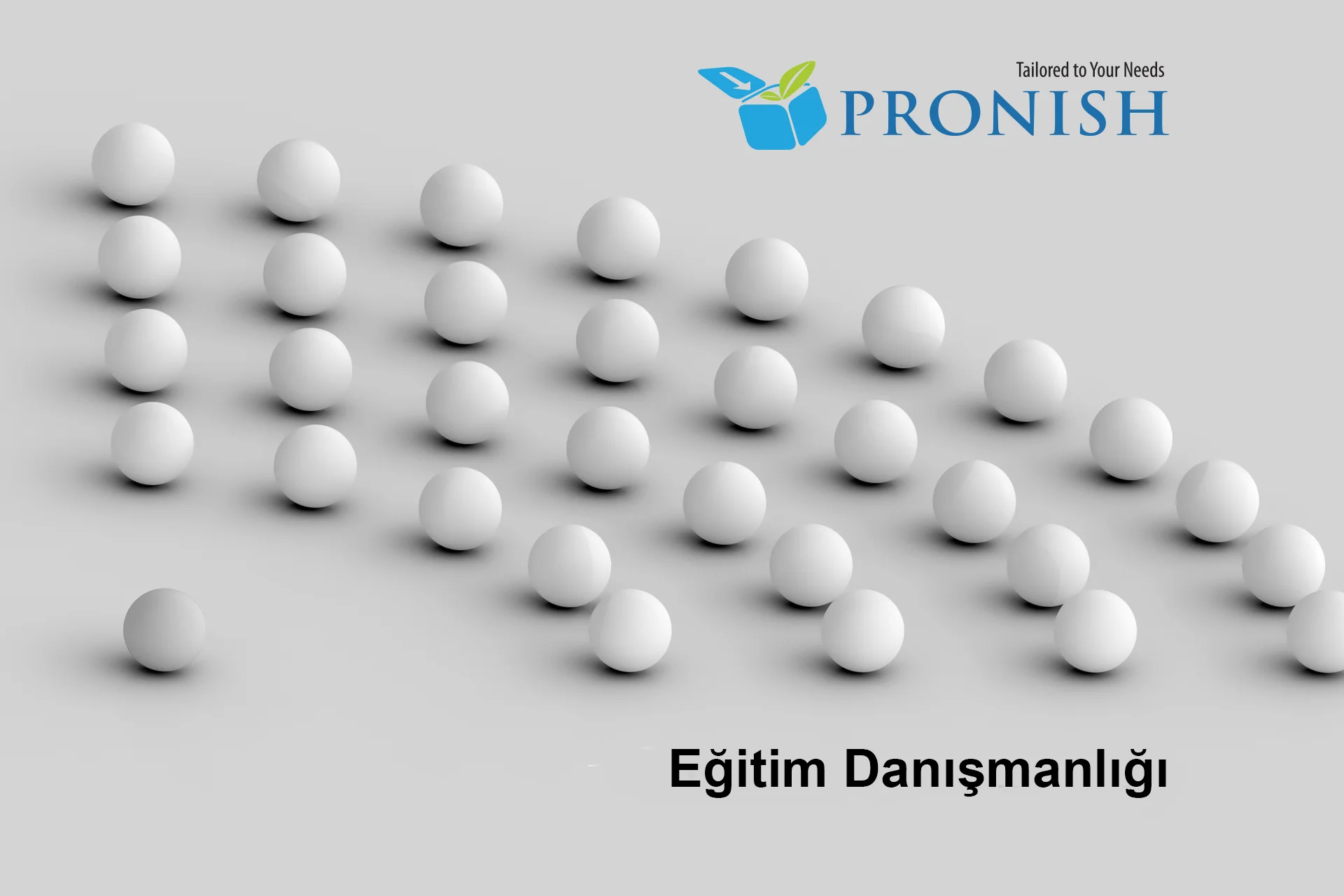 Eğitim Danışmalığı
