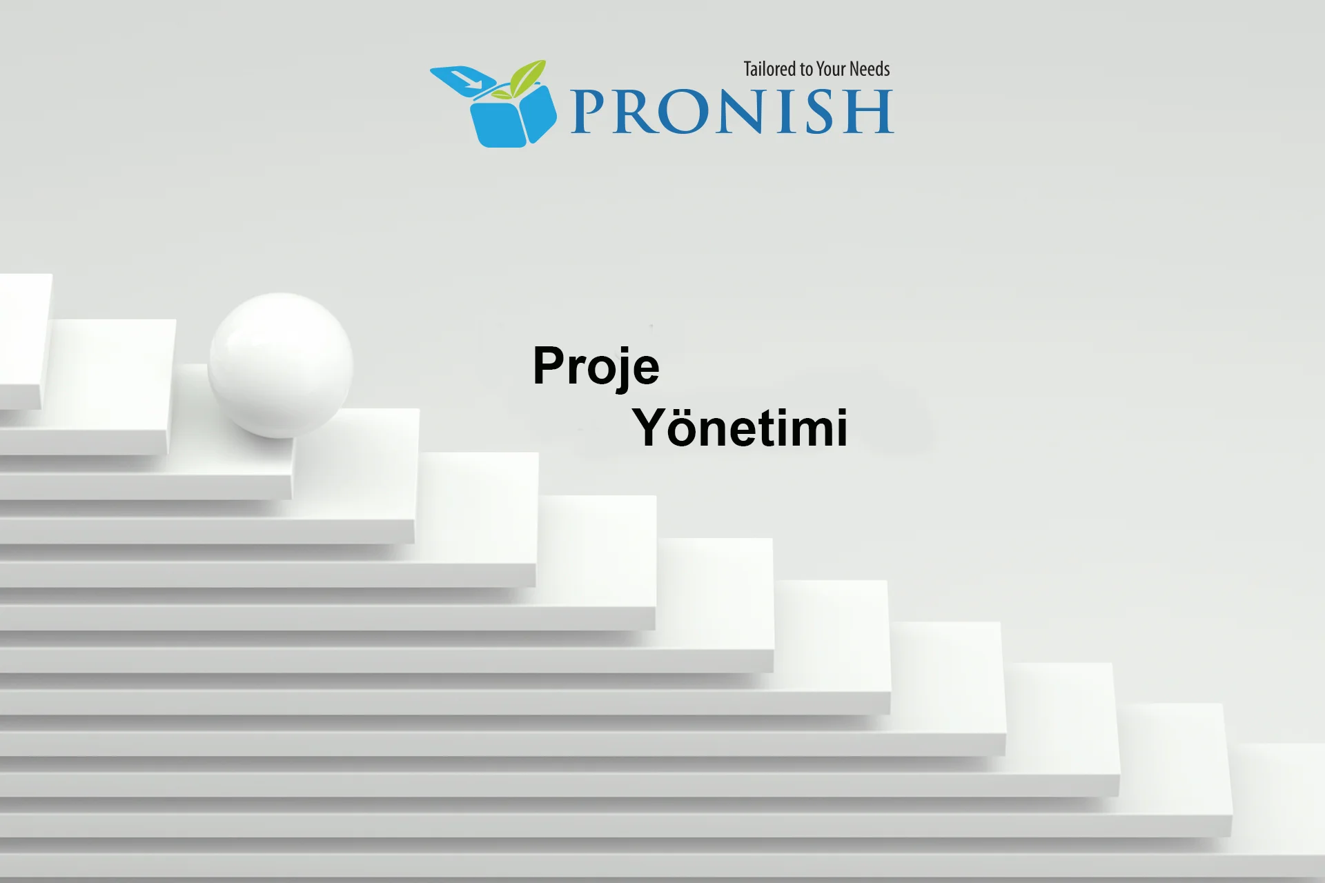 Proje Yönetimi